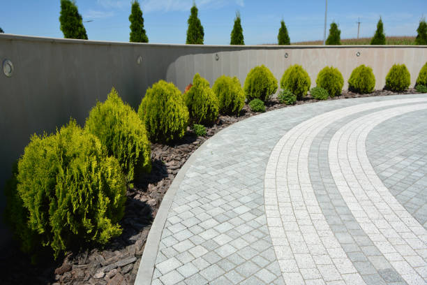 Best Driveway Paving Contractor  in Kannapolis, NC